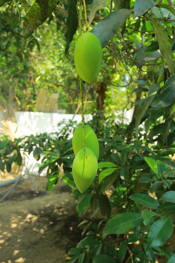 Marari Coastal Dreams Home Stay Alappuzha Eksteriør bilde